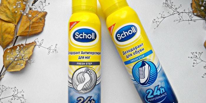 Scholl για τα παπούτσια και τα πόδια