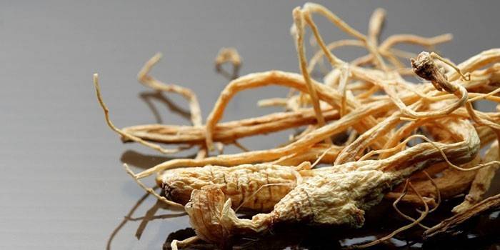 Ginseng kökü