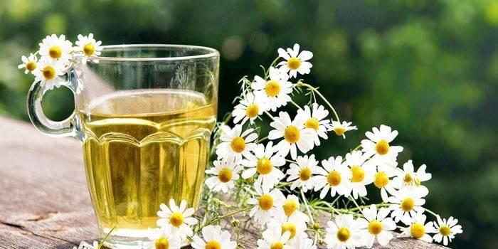 مرق البابونج في فنجان