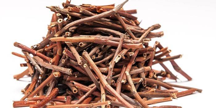 Cinquefoil root
