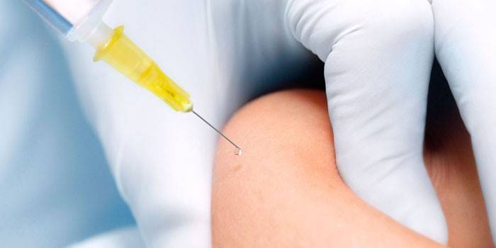 Lipolitica per il corpo