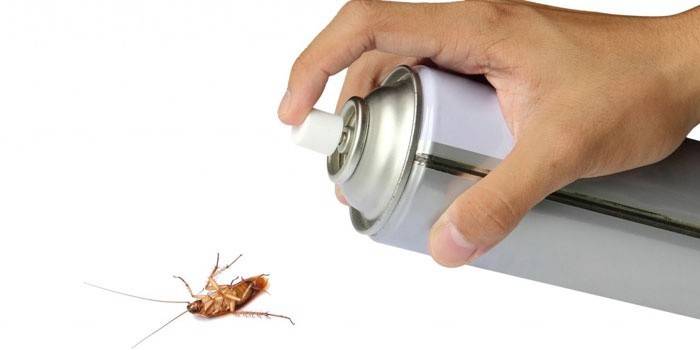 תרסיס ביד ותיקן