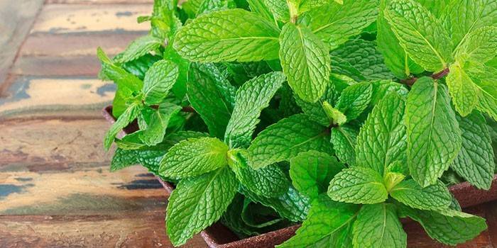 Menta in una pentola