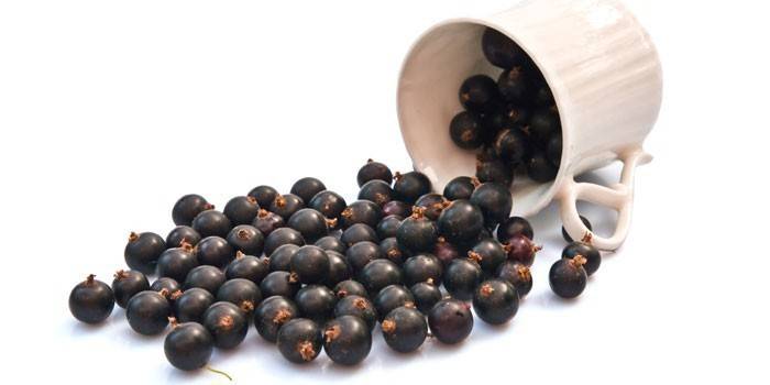 Johannisbeeren in einer Tasse