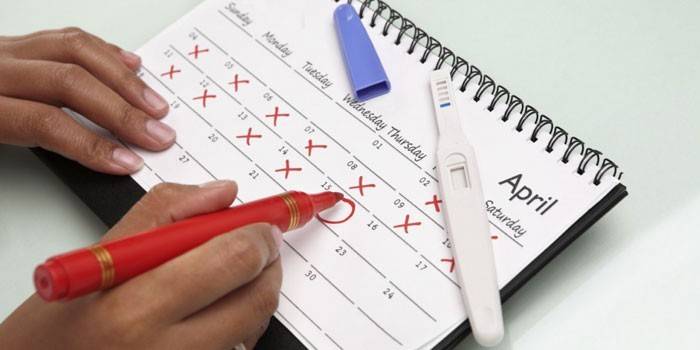 Calendar și test de sarcină