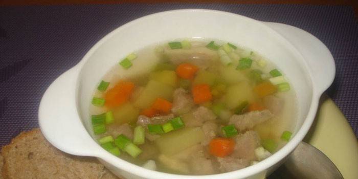 Sopa com carne de peru com legumes e cebolinha