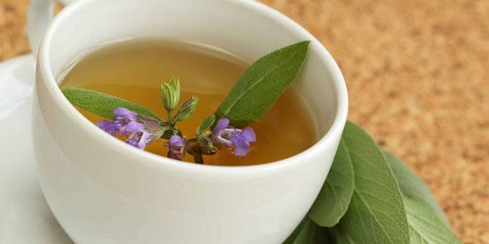 Sage truyền trong một cốc