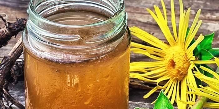 ยาต้ม Elecampane ในธนาคาร
