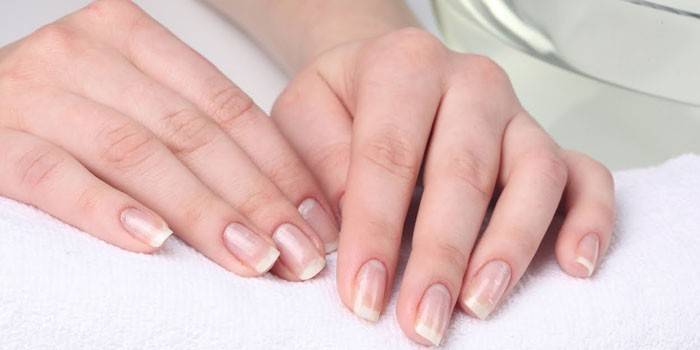 Mani della ragazza