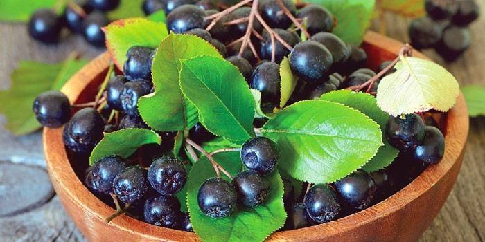 Chokeberry ในชาม