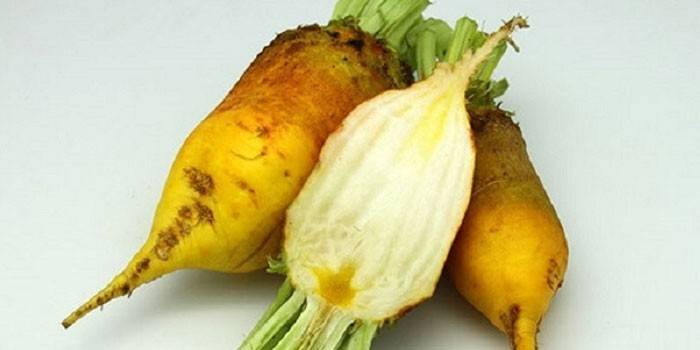 Yellow beetroot