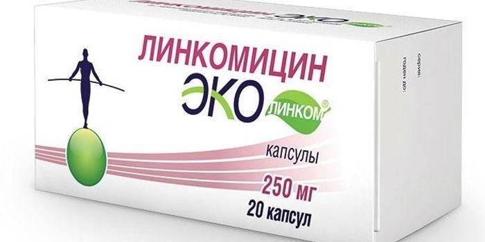 Capsules De Lincomycine