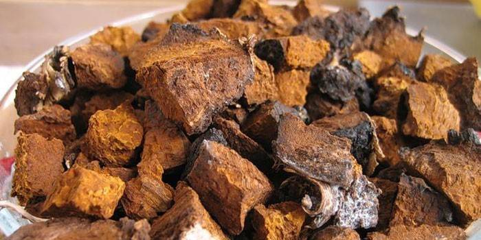 Tranches de champignons de bouleau