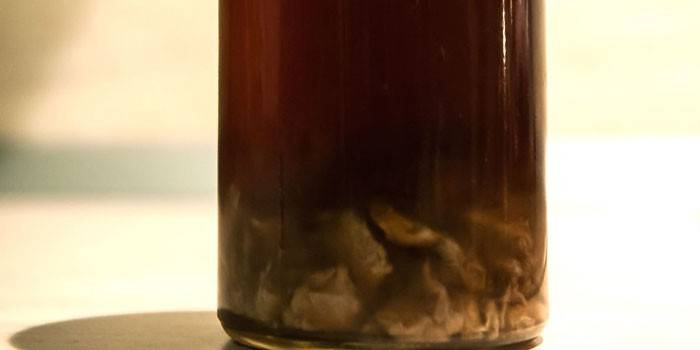 Bottiglia con tintura di radice d'oro su vodka