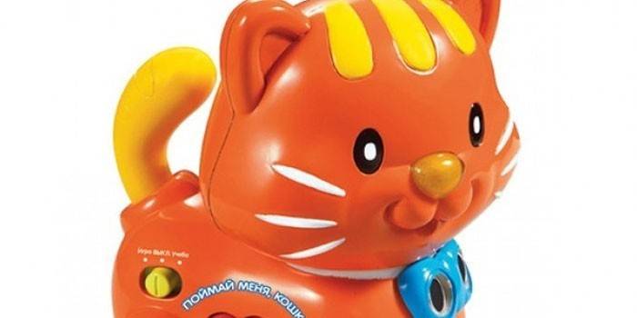 Vtech, Beni Yakala, Kedi