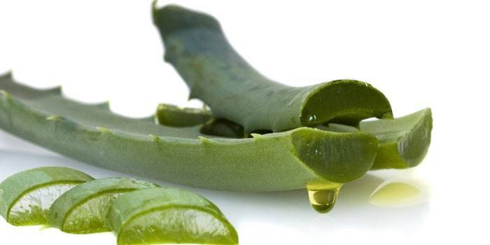 Aloe para mejorar la inmunidad