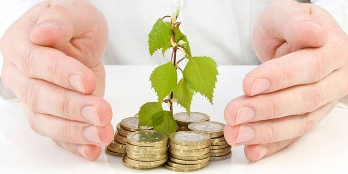 Mynter og plante