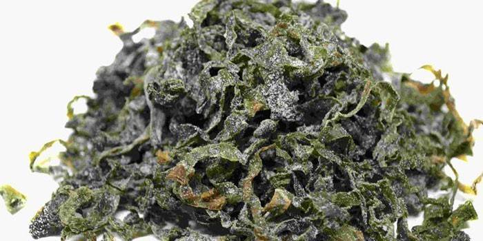 Alghe Congelate