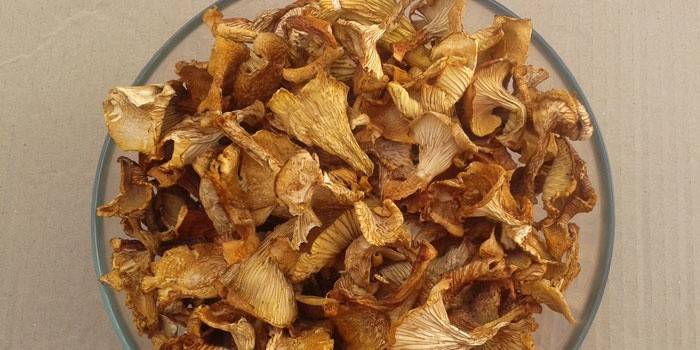 Chanterelles uscate într-o farfurie