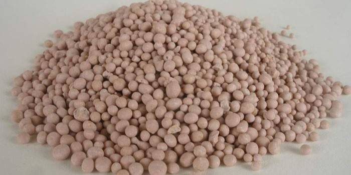 Adubo mineral para morangos
