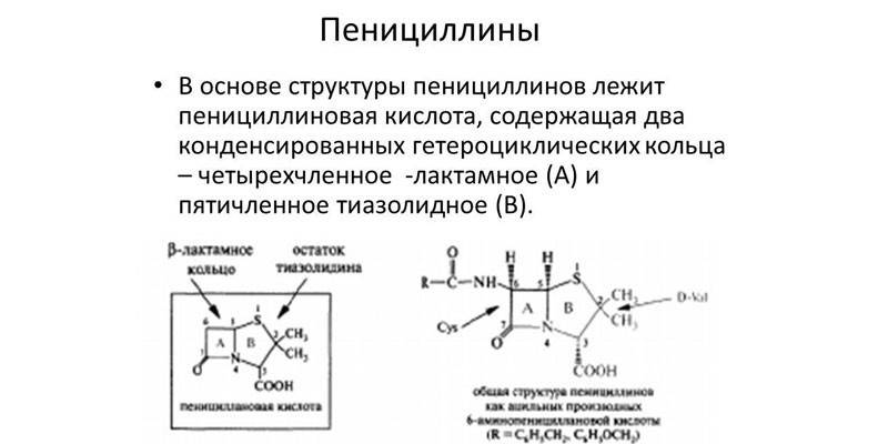 Penicillin