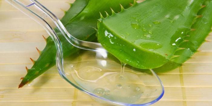 Jugo de aloe en una cuchara