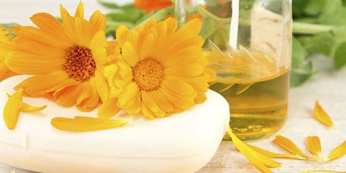 آذريون مرق مع زجاجة
