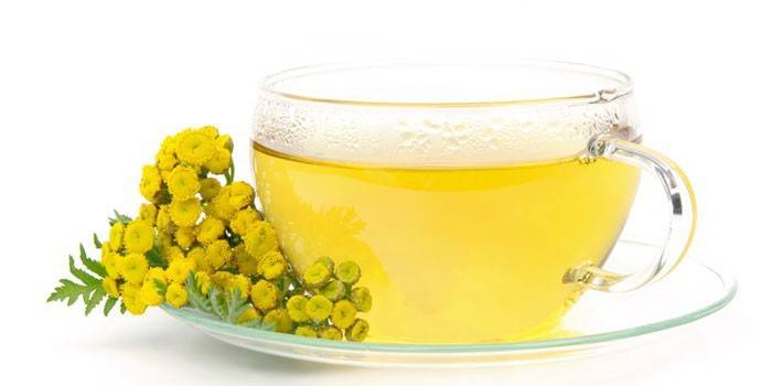 Decoctul Tansy într-o ceașcă