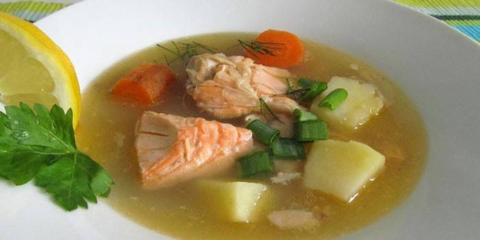 Sopa de trucha en un plato