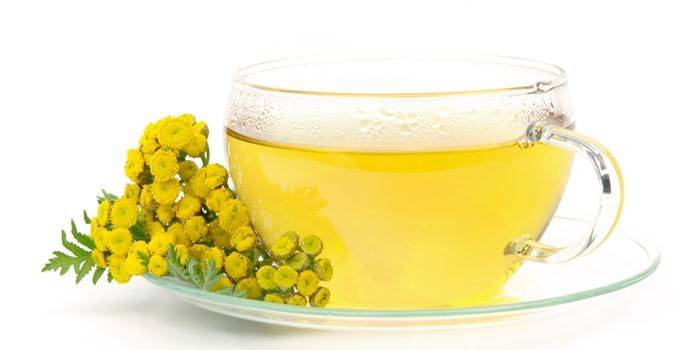 Tansy főzet egy csésze