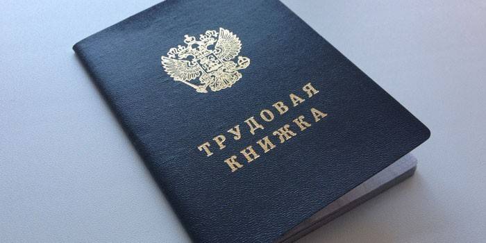 Књига рада
