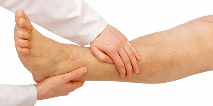 Jambe de femme