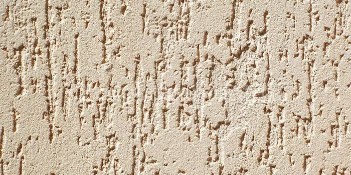 Scarabeo di corteccia frontale in stucco