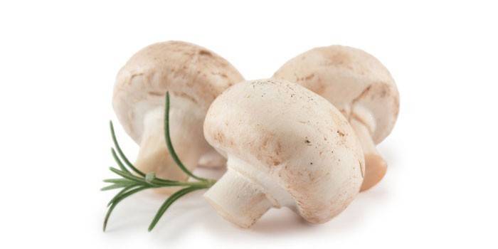 Champignons frais