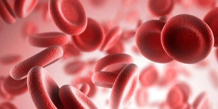 Plaquetas en la sangre