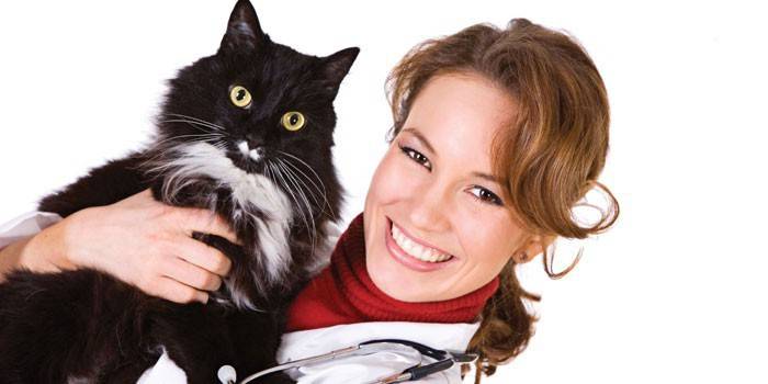 Tierarzt hält eine Katze in seinen Armen