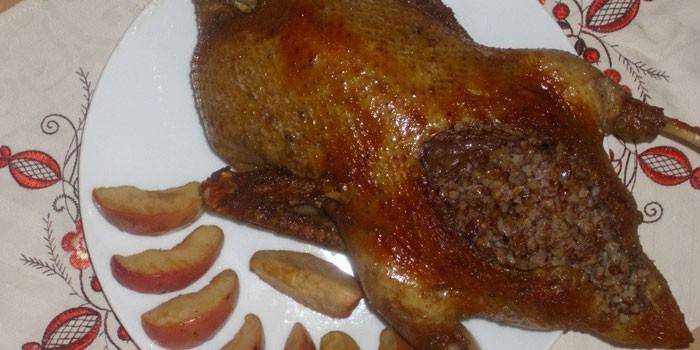 Anties skerdena, įdaryta grikių koše ir obuolių skiltelėmis