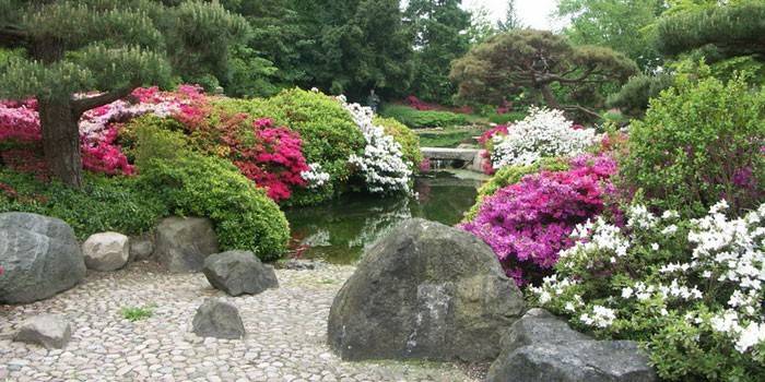 Gartengestaltung im japanischen Stil