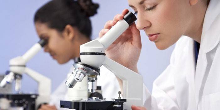 Laboratorijos padėjėjai žiūri per mikroskopą