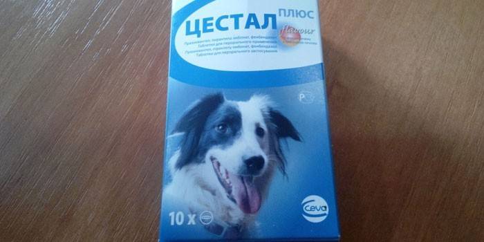 Verpackung von Cestal Plus