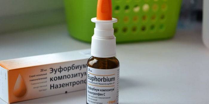 Huume Euphorbium