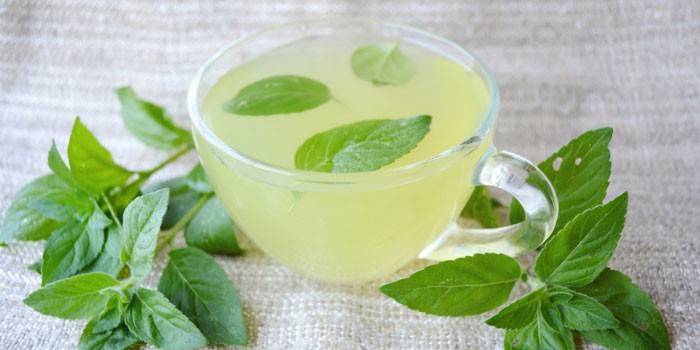 Infuso di menta piperita
