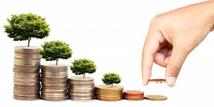 أعمدة العملات المعدنية