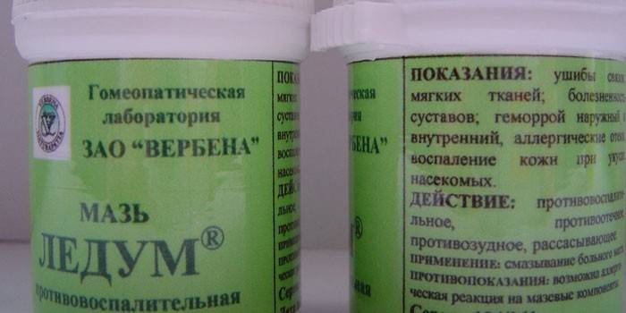 Tepalas Ledum