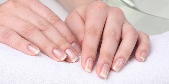 Manicure non tagliata sulle unghie