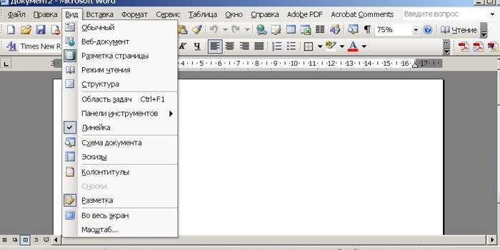 Window ng programa ng Word Word 2003