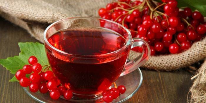 Abkochung von Schneeballbeeren in einer Tasse