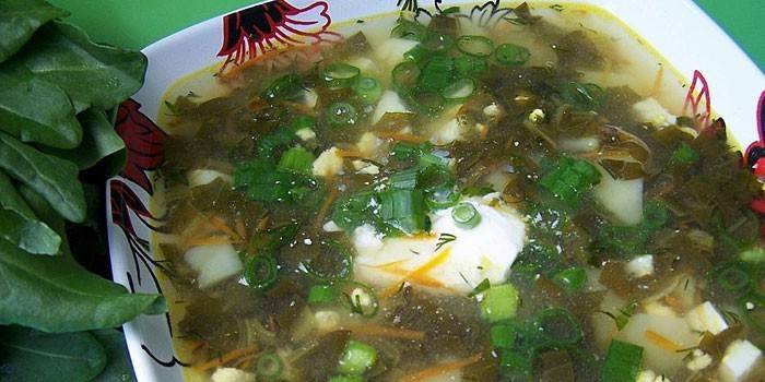 Sopa de caldo de galinha