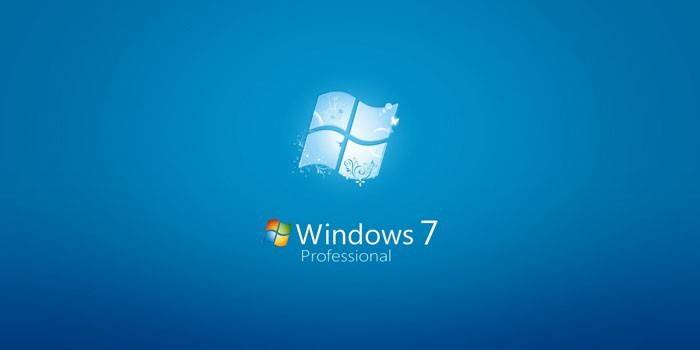 Logo Windows 7