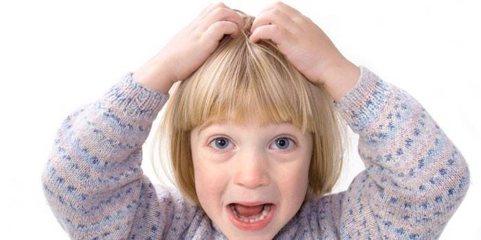 La niña tiene picazón en la cabeza.